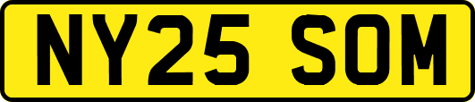 NY25SOM