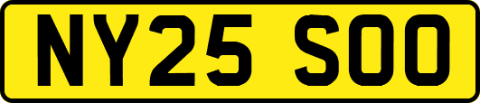 NY25SOO