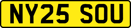 NY25SOU