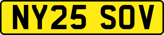 NY25SOV