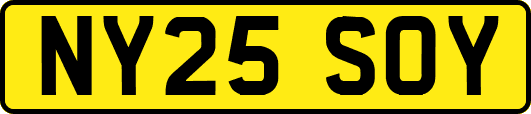 NY25SOY
