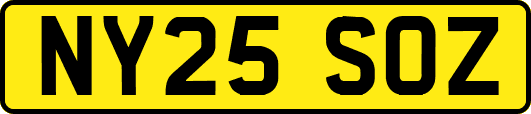 NY25SOZ