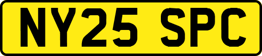 NY25SPC