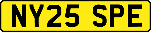 NY25SPE