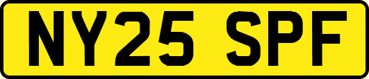 NY25SPF