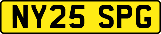 NY25SPG