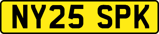 NY25SPK