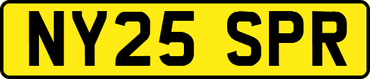 NY25SPR
