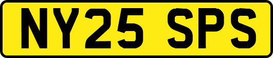 NY25SPS