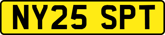 NY25SPT