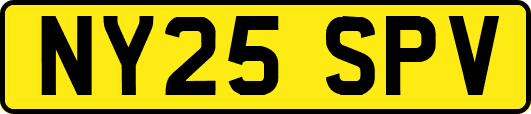 NY25SPV