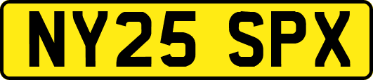 NY25SPX