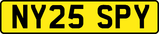 NY25SPY