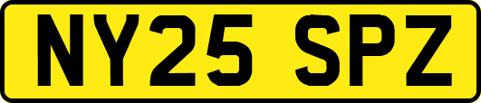 NY25SPZ