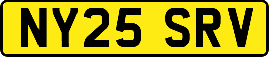 NY25SRV