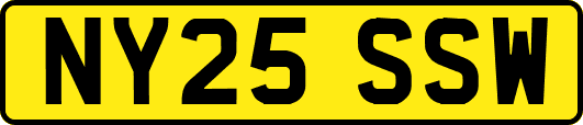 NY25SSW