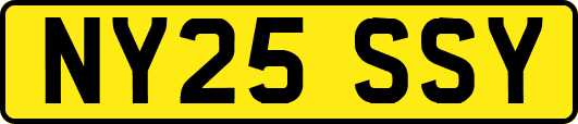 NY25SSY