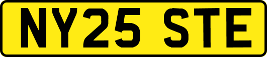NY25STE