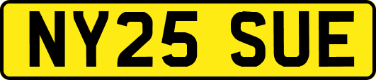 NY25SUE