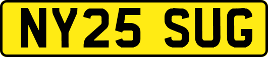 NY25SUG