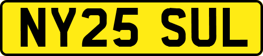 NY25SUL