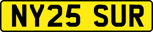 NY25SUR