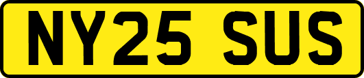 NY25SUS