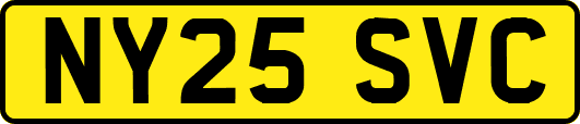 NY25SVC