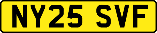 NY25SVF