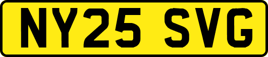 NY25SVG