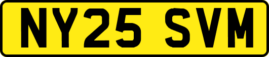 NY25SVM