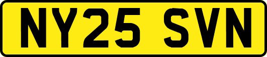 NY25SVN