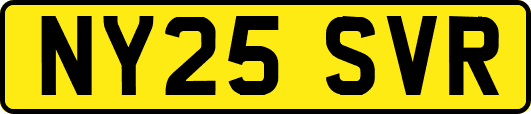 NY25SVR