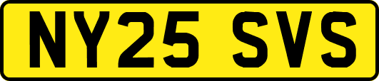 NY25SVS
