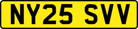 NY25SVV