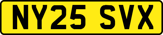 NY25SVX