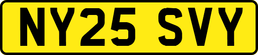 NY25SVY