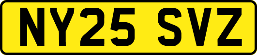 NY25SVZ