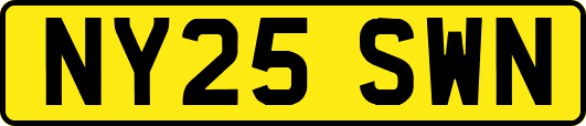 NY25SWN