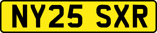 NY25SXR