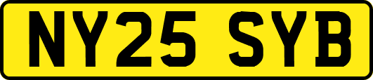NY25SYB