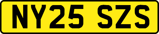 NY25SZS