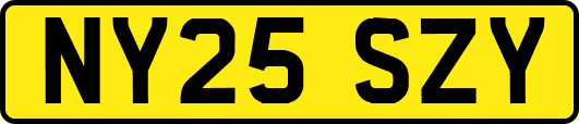 NY25SZY