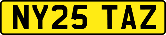 NY25TAZ