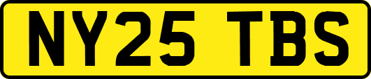 NY25TBS