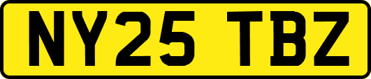 NY25TBZ