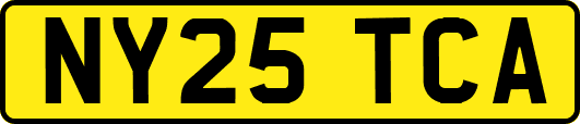 NY25TCA