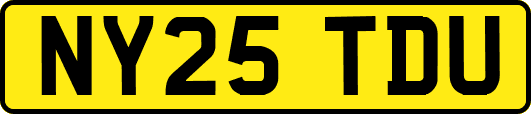 NY25TDU