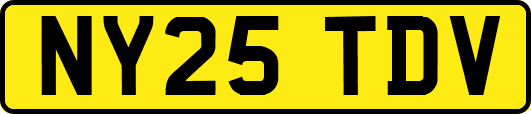 NY25TDV