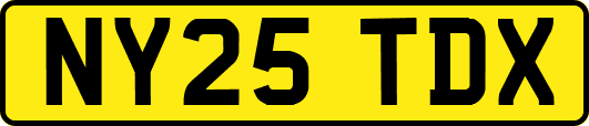 NY25TDX